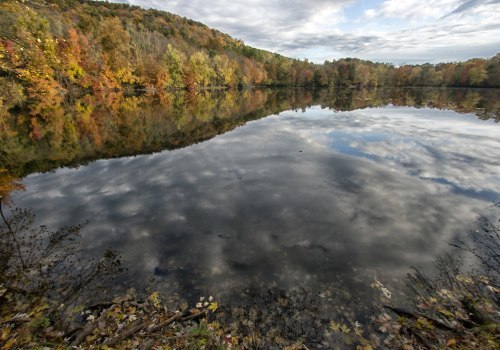 Exploring Nature in Bergen County: Parks and Preserves